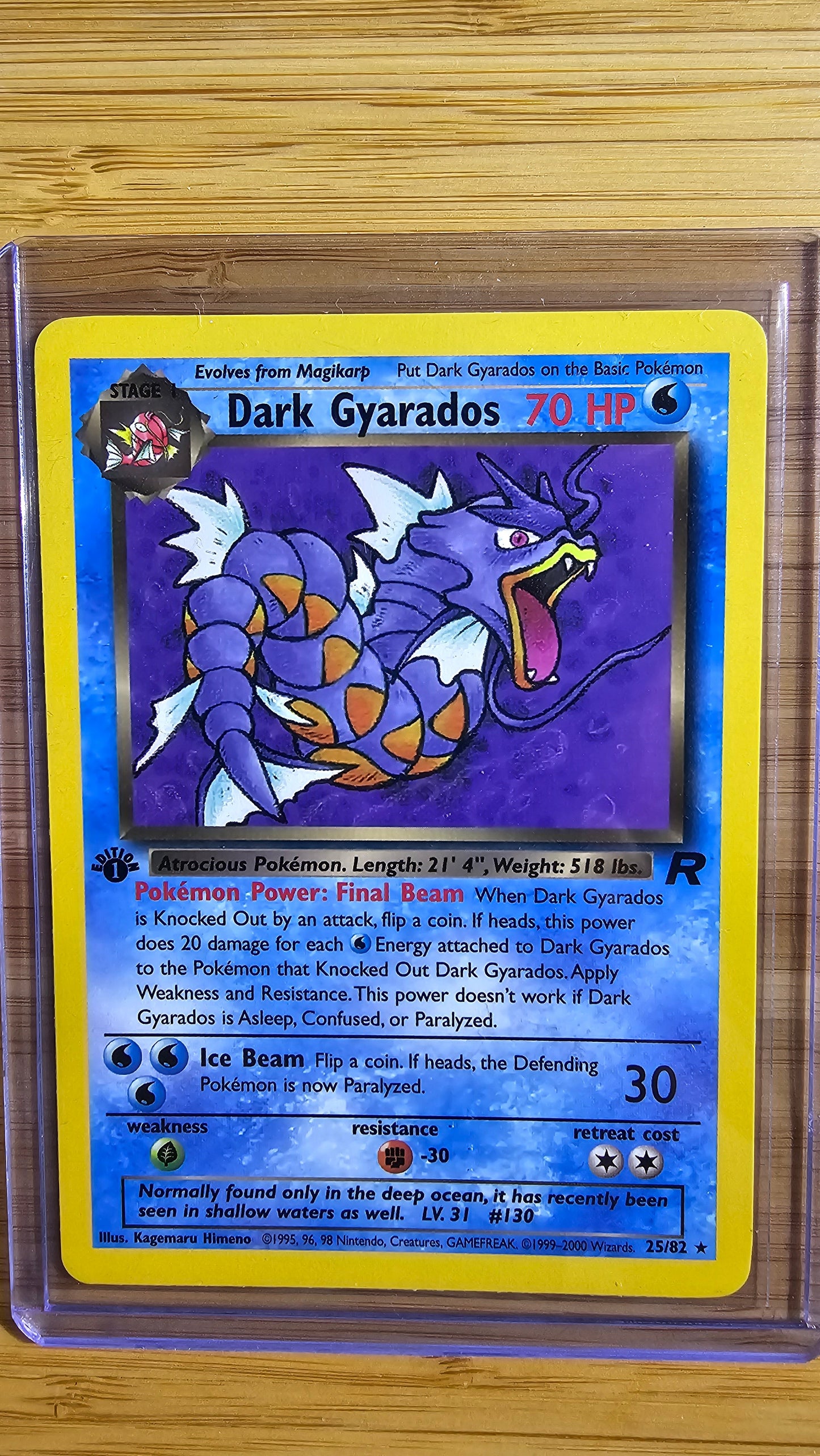 Dark Gyarados – 25/82 – Team Rocket (1st Edition Non-Holo Rare Vintage WOTC Pokémon Card)