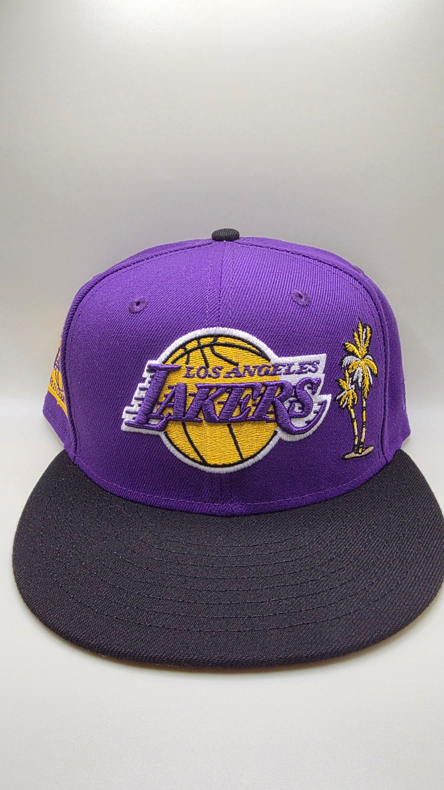 Los Angeles Lakers 2 Tone New Era Exclusive Fitted Hat