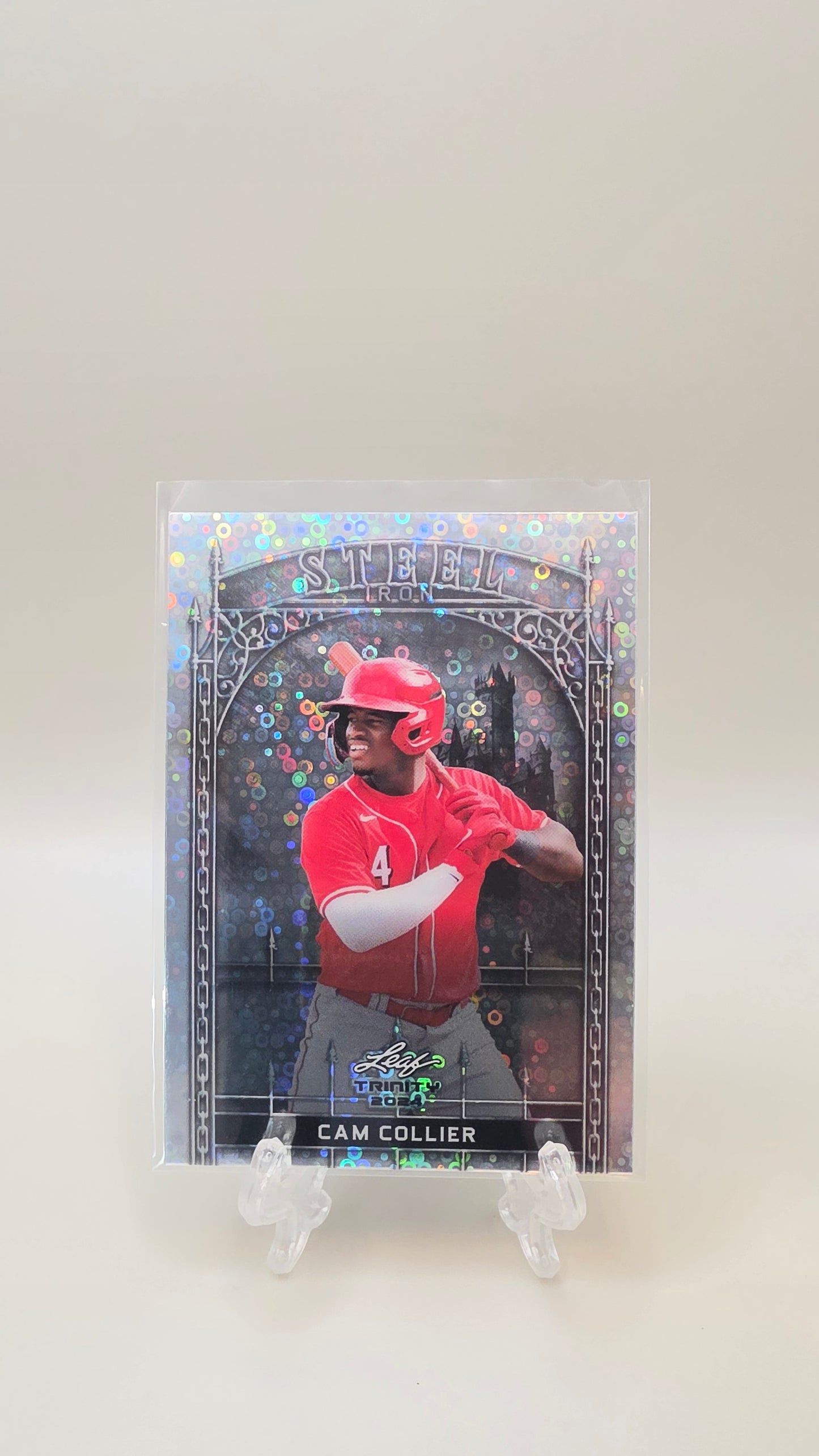2024 Leaf Trinity Cam Collier Steel Disco /10 #S-17