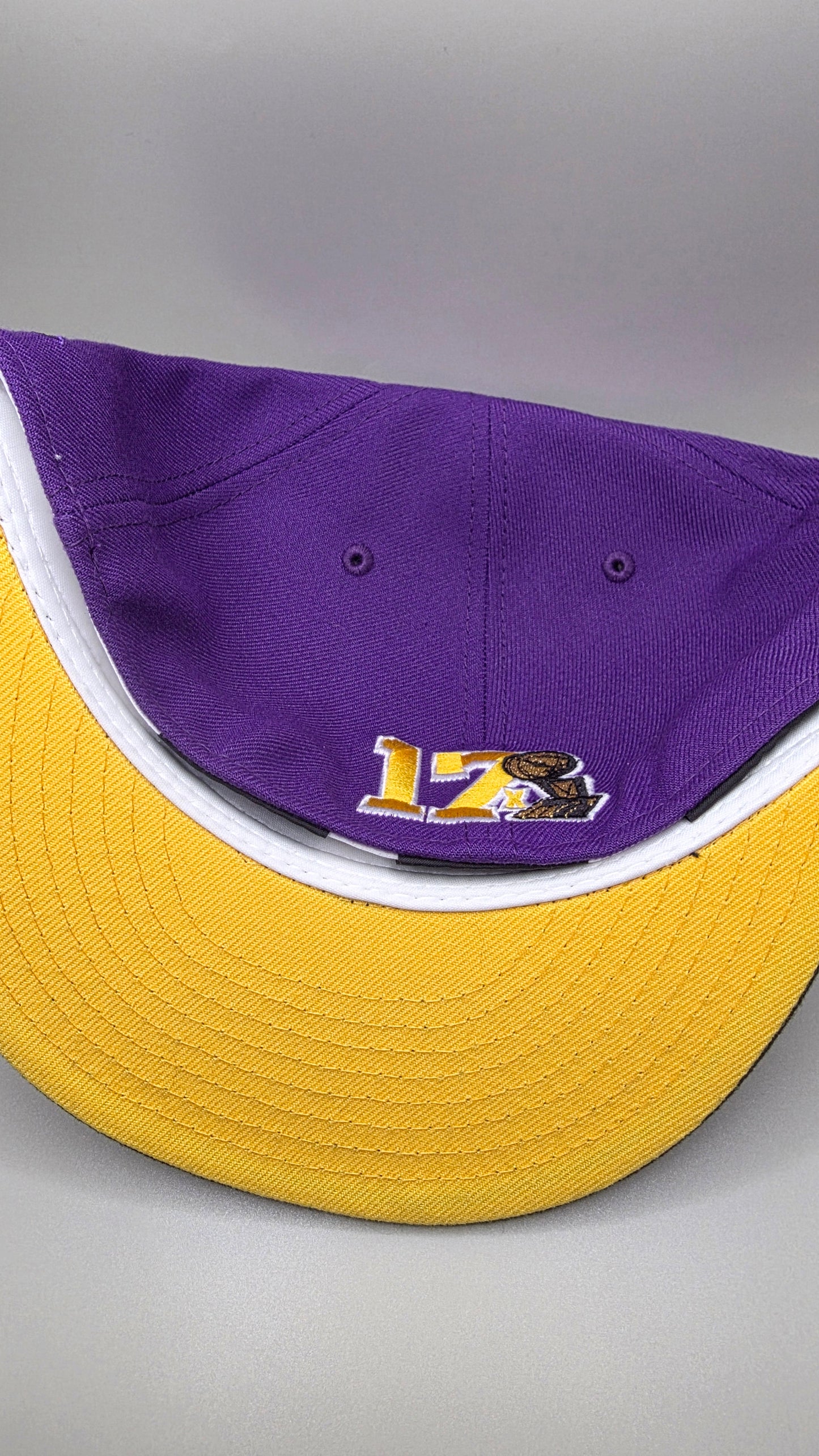Los Angeles Lakers 2 Tone New Era Exclusive Fitted Hat