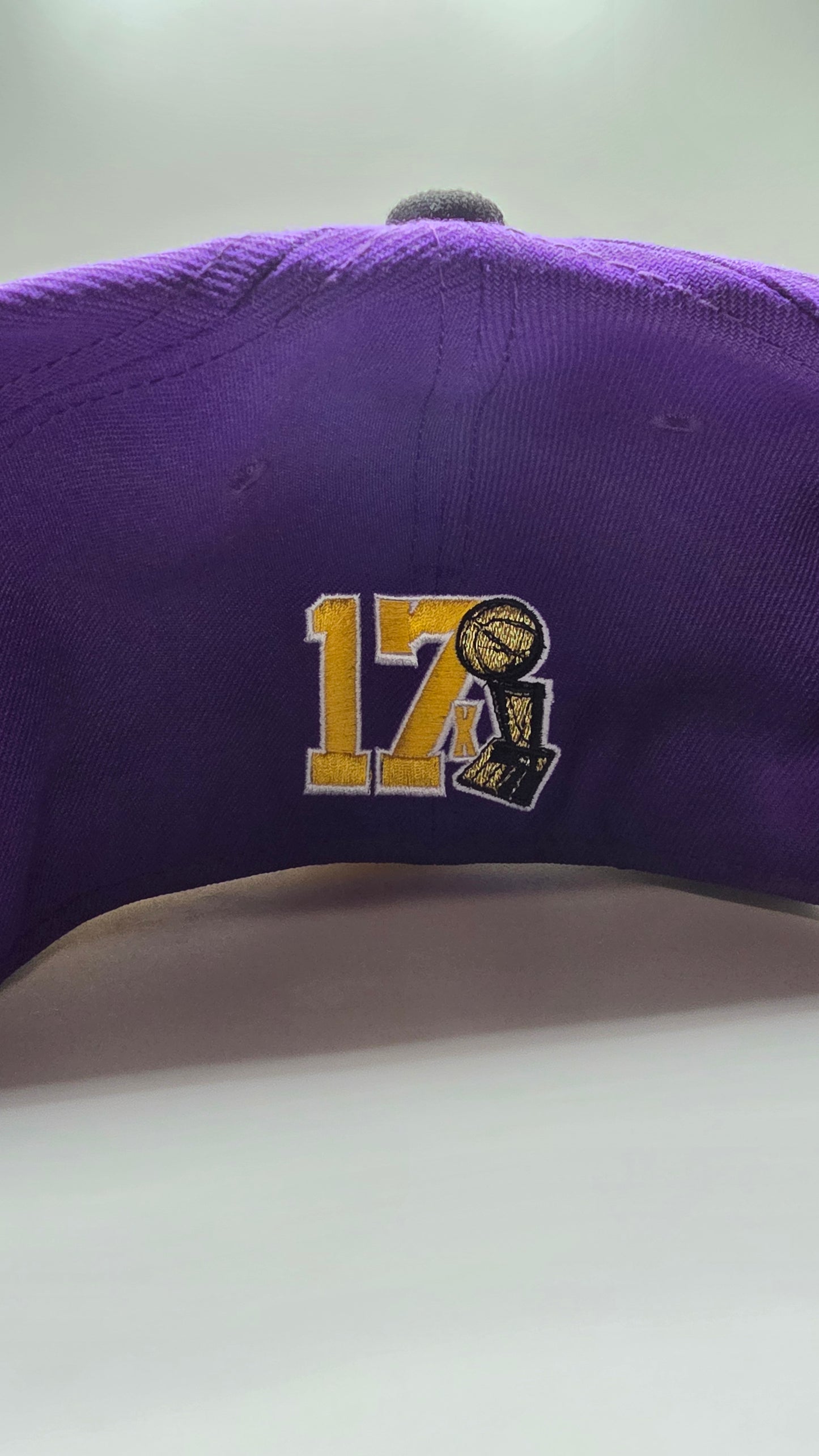 Los Angeles Lakers 2 Tone New Era Exclusive Fitted Hat