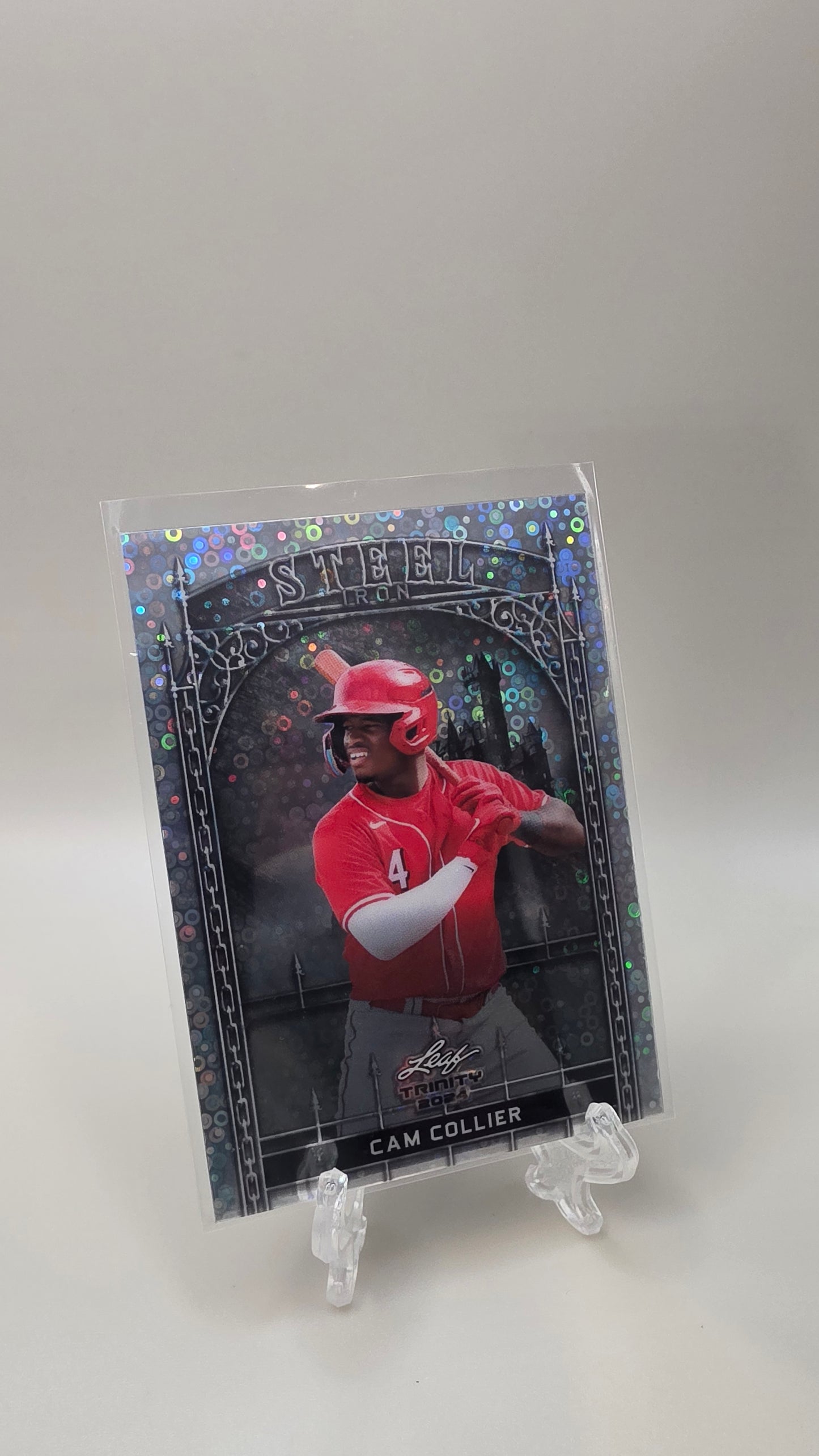 2024 Leaf Trinity Cam Collier Steel Disco /10 #S-17